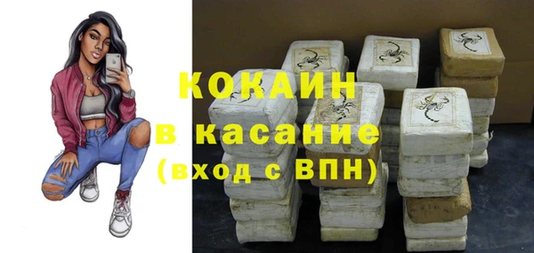 гашик Нея
