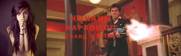 гашик Нея