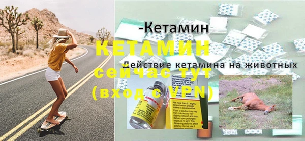 гашик Нея
