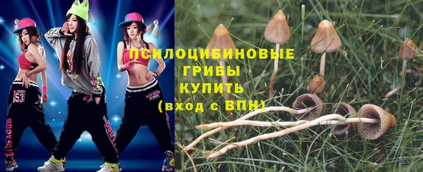 мескалин Нефтегорск