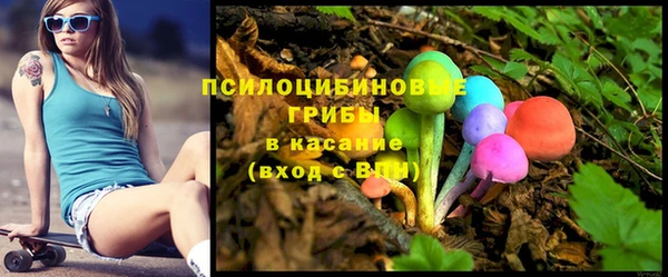 гашик Нея