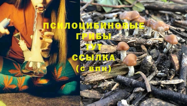 гашик Нея