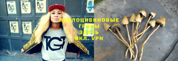 мескалин Нефтегорск