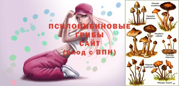прущая мука Нефтекумск